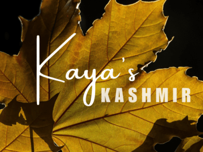 Kaya's Kashmir