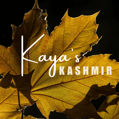 Kaya's Kashmir